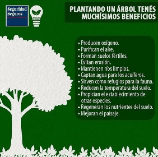 Buenas practicas